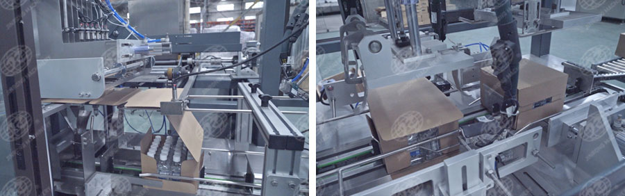 全自動(dòng)一片式裝箱機(jī)-5